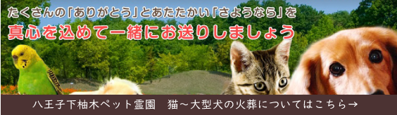 八王子下柚木ペット霊園　猫～大型犬の火葬についてはこちら→