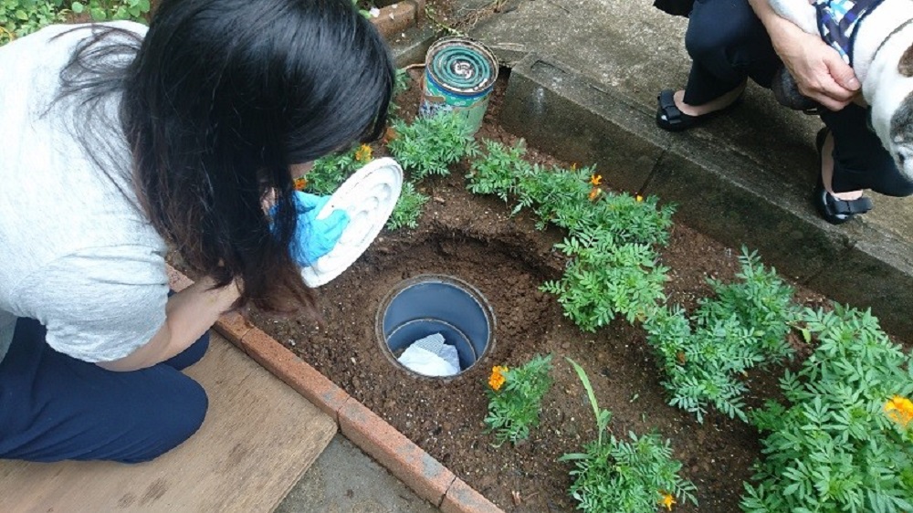 普通は、自然埋葬個別墓地へ埋葬している所です。